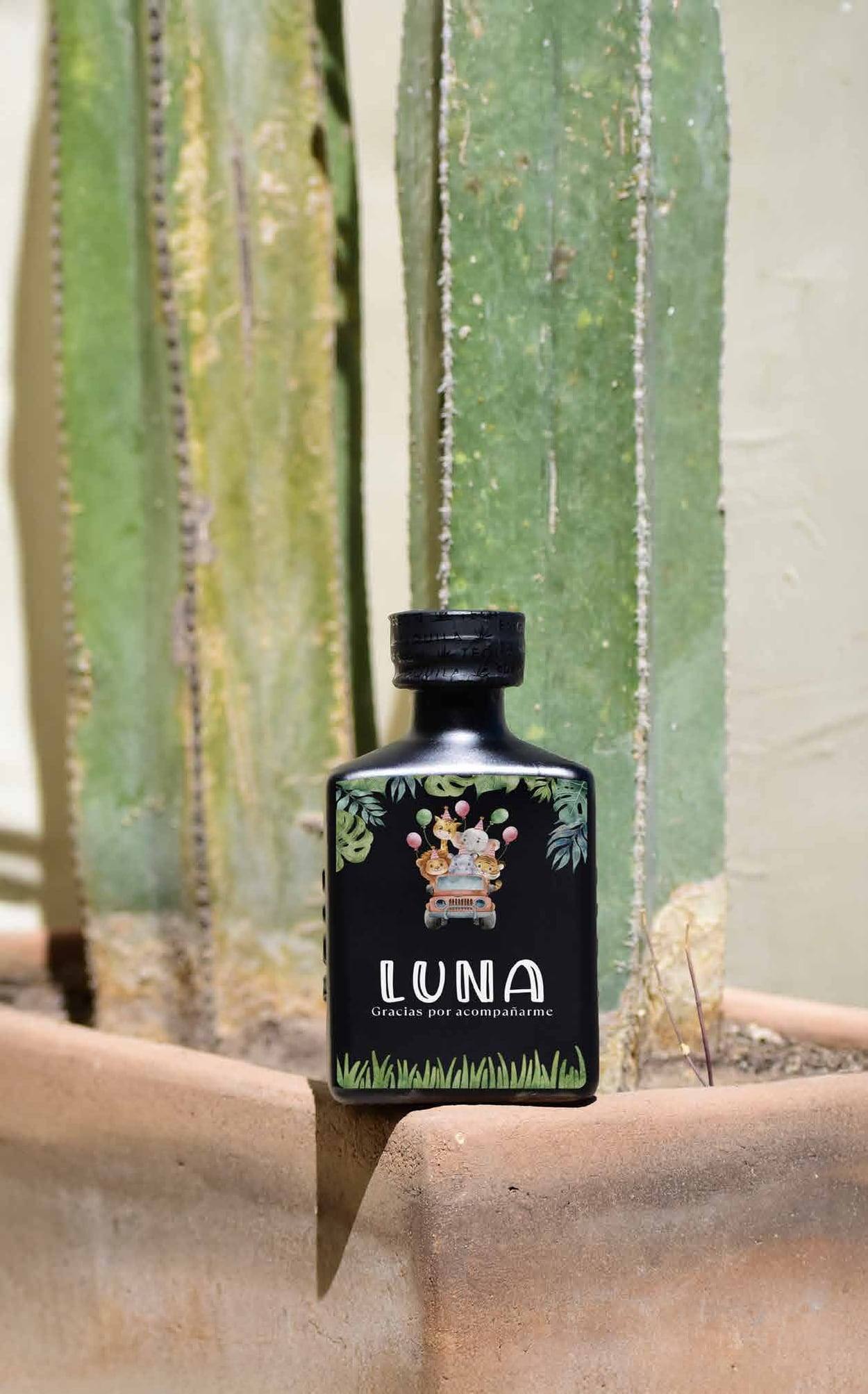 Botella Medium negra con arte colorido junto a un cactus